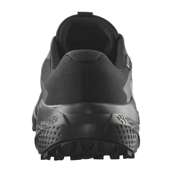Salomon Alphaglide GTX
